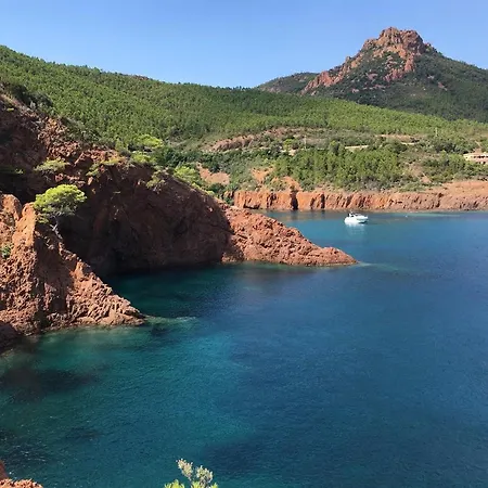 The View * Κάννες